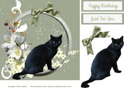 Black Cat with White Flowers