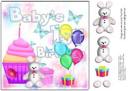 Baby's 1st Birthday