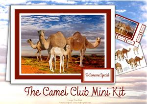 The Camel Club Mini Kit