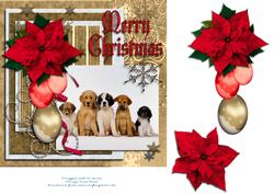 Doggone Christmas