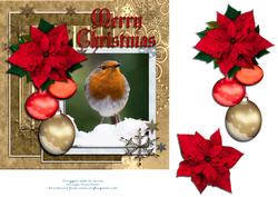 Merry Christmas Robin