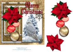 Snowy Owl
