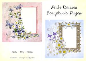 White Daisies