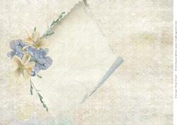 Flowers and Curled Paper