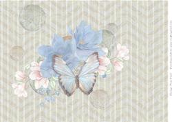 Butterfly and Blooms