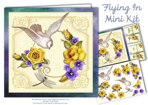 Flying in Mini Kit