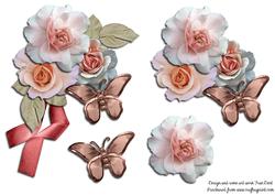 Pink Rose