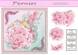 Peonies