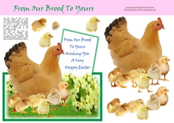 From Our Brood To Yours