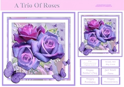 A Trio Of Roses