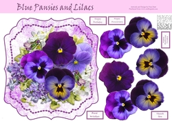 Blue Pansies And Lilacs