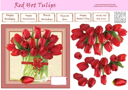 Red Hot Tulips