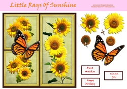 Little Rays Of Sunshine 