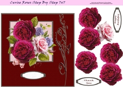 Cerise Roses Step By Step 7x7