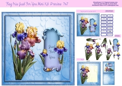 Flag Iris Just For You Mini Kit 7x7