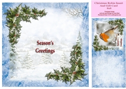Christmas Robin Insert 8x8 With Gift Card