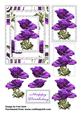 Anemone Step by Step