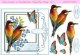 Bee Eaters & Butterfly Step By Step 7x7