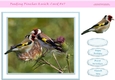 Feeding Finches Quick Card 8x7