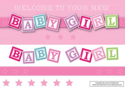 Large Dl New Baby Girl Card
