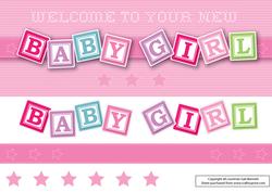 Large Dl New Baby Girl Card