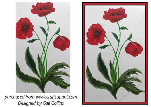  poppies wild flowers
