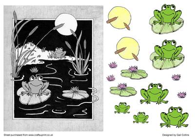 Mono and Neon Frogs