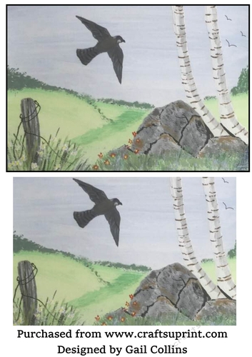 Bird of prey