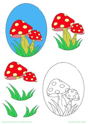 Mushrooms 2