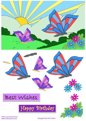 Butterfly Birthday