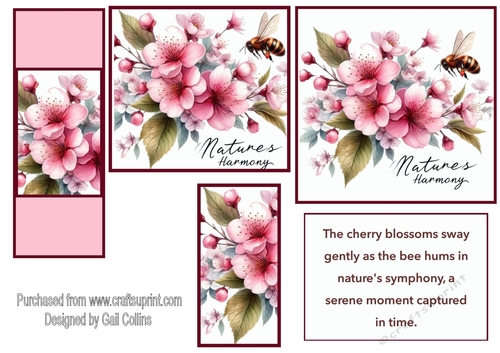 Cherry Blossoms