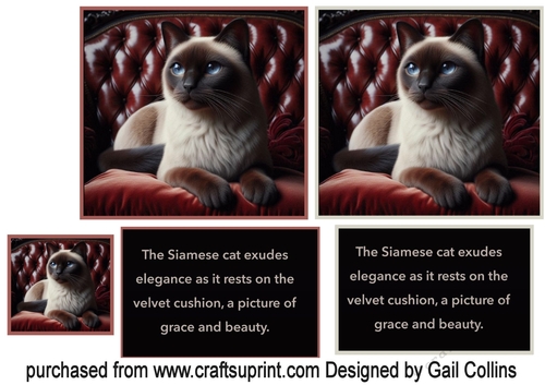 The Siamese Cat