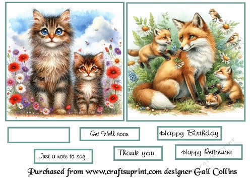 Animals and nature