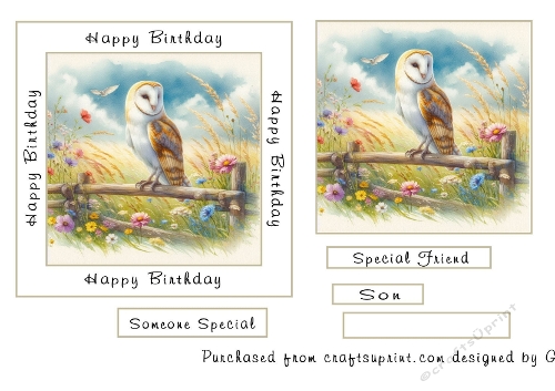 Barn owl