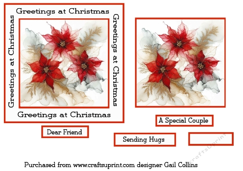 Poinsettia