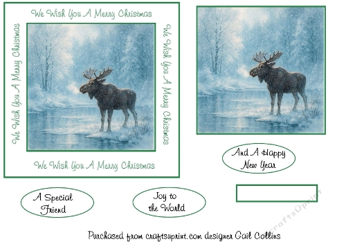 Elk in the snow