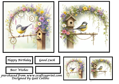 feathered friends at home