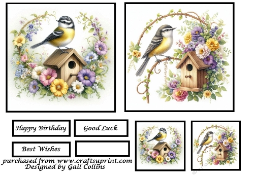 Bird home sweet home