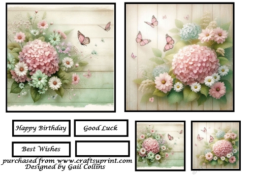 Flowers and Butterflies