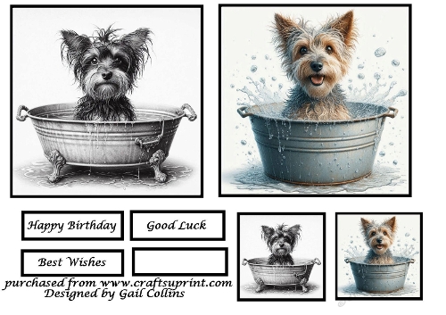 Dogs in the Bath