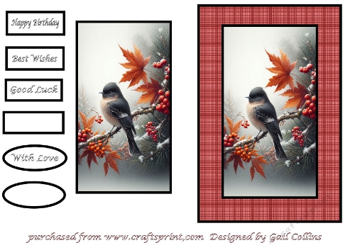 bird on Tartan