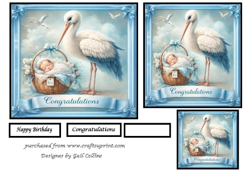 Baby boy and stork