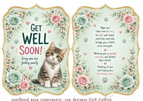 get well kitty mint