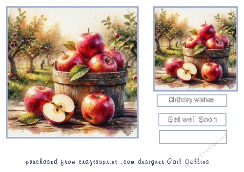 Apples
