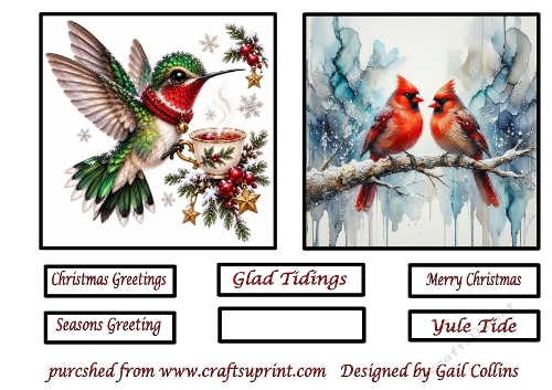 Christmas Birds