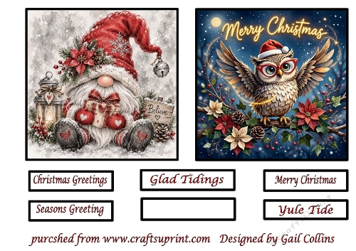Christmas gnome and Owl 