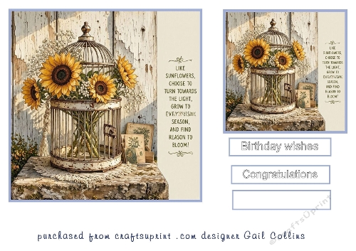 Sunflower cage