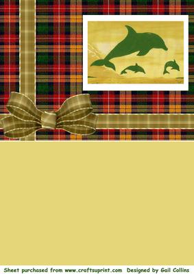 Dophin Tartan Card Front