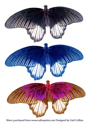Butterflys x 3