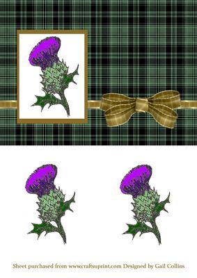 Thistle on Green Tartan.